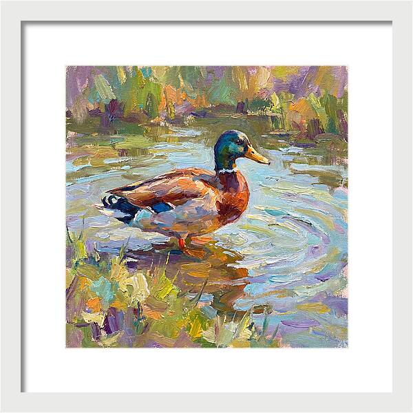 Majestic Duck In Tranquil Waters