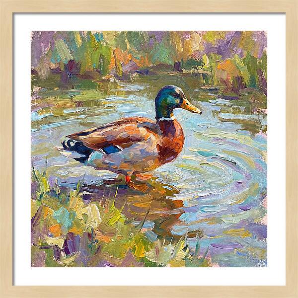 Majestic Duck In Tranquil Waters