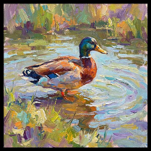 Majestic Duck In Tranquil Waters