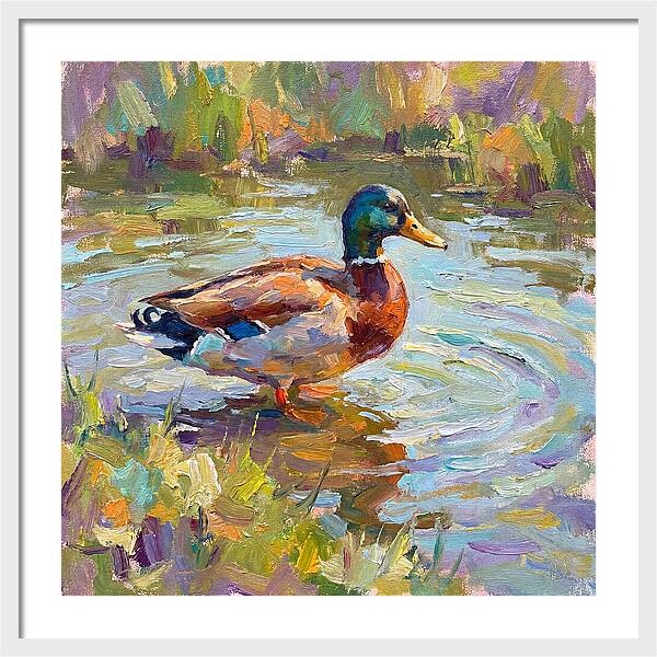 Majestic Duck In Tranquil Waters