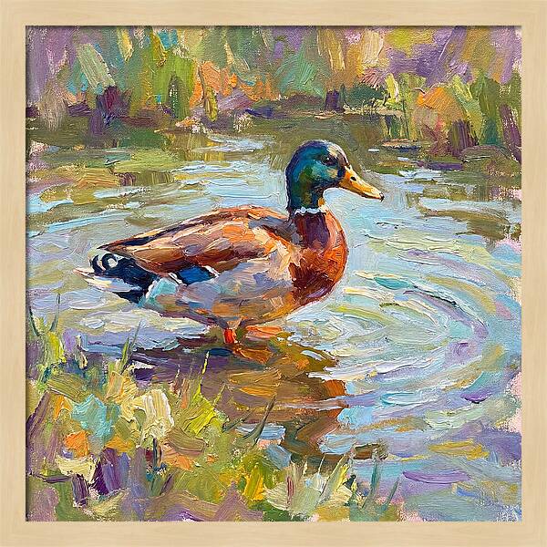 Majestic Duck In Tranquil Waters