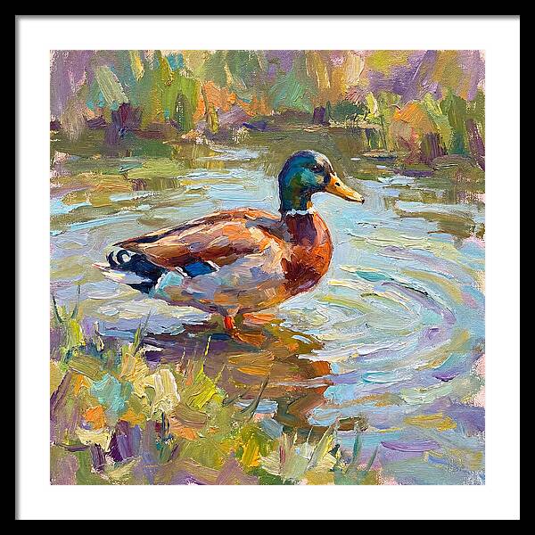 Majestic Duck In Tranquil Waters