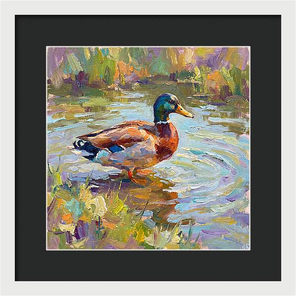 Majestic Duck In Tranquil Waters