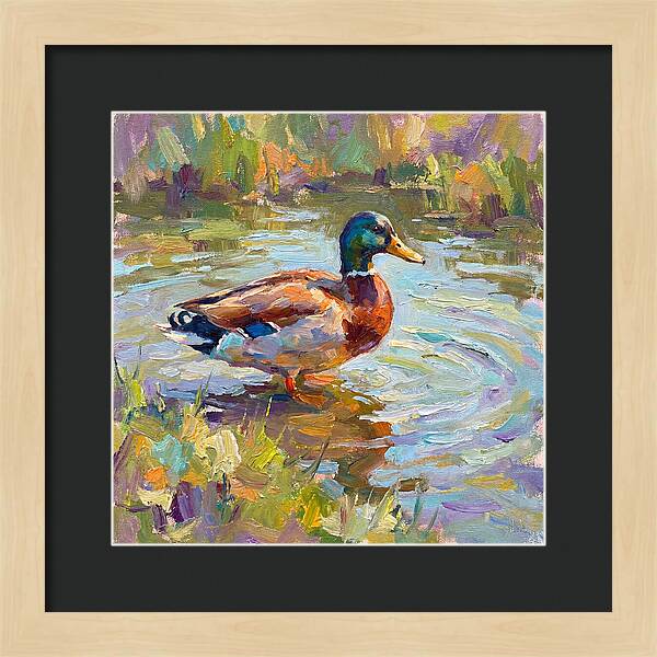 Majestic Duck In Tranquil Waters