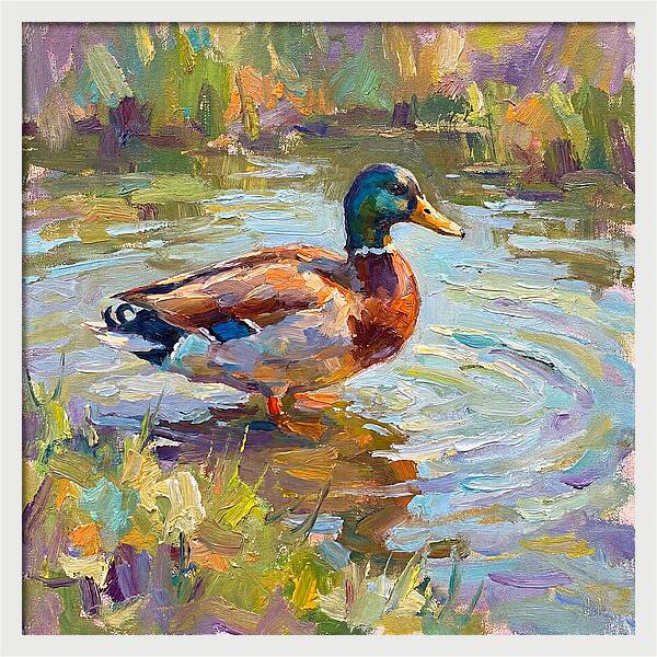 Majestic Duck In Tranquil Waters