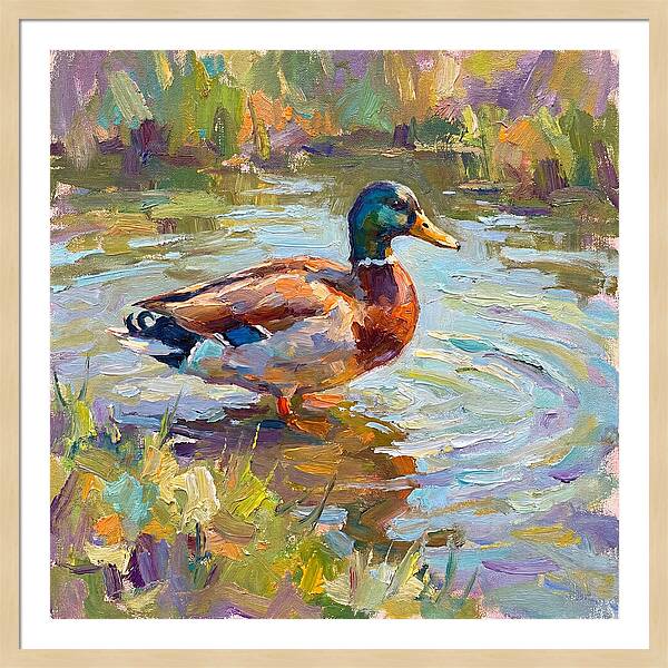Majestic Duck In Tranquil Waters