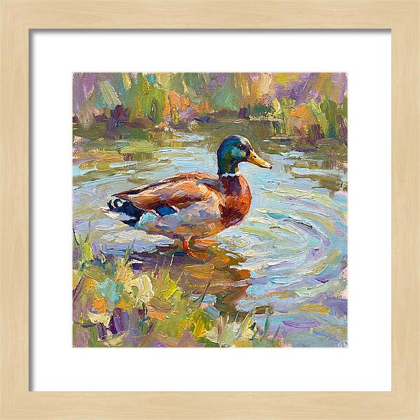 Majestic Duck In Tranquil Waters
