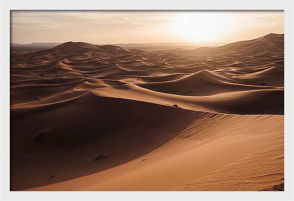 Majestic Dunes Of Erg Chebbi