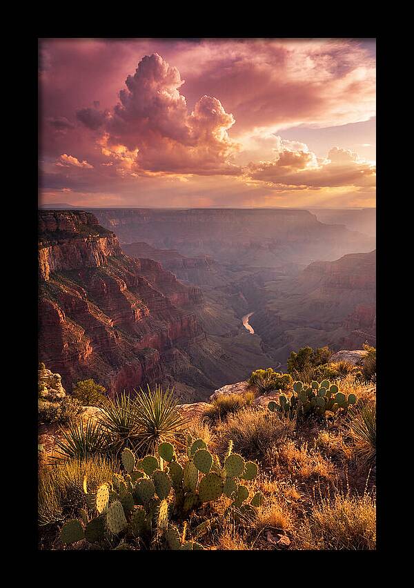 Majestic Dusk Over Grand Canyon