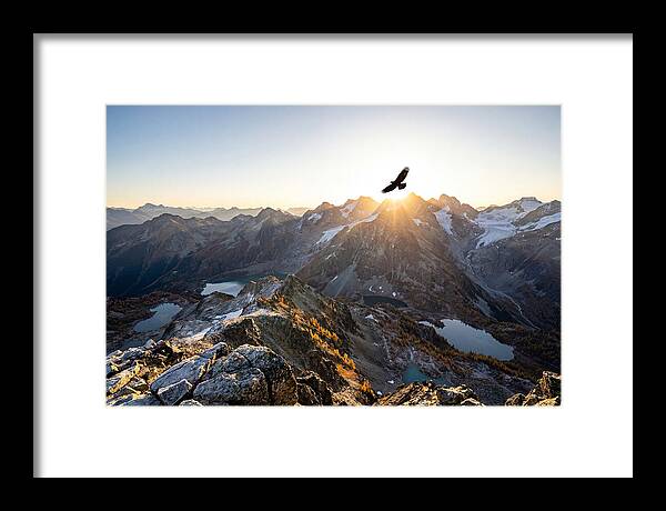 Majestic Eagle Gliding Over Peaks