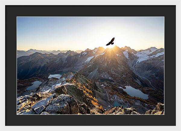 Majestic Eagle Gliding Over Peaks