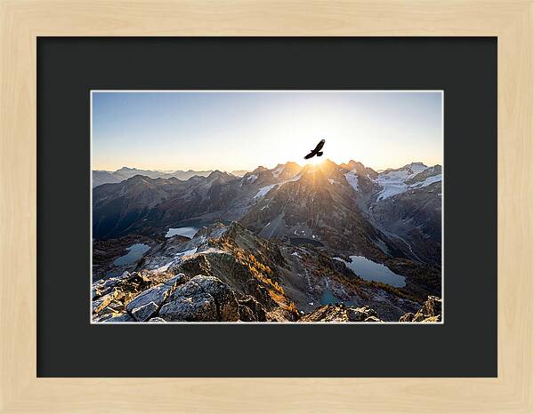 Majestic Eagle Gliding Over Peaks
