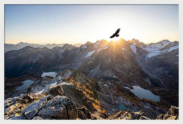 Majestic Eagle Gliding Over Peaks