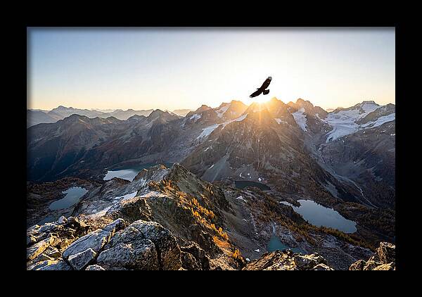 Majestic Eagle Gliding Over Peaks