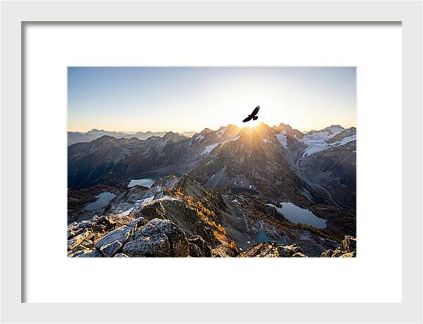 Majestic Eagle Gliding Over Peaks