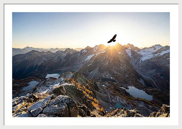 Majestic Eagle Gliding Over Peaks
