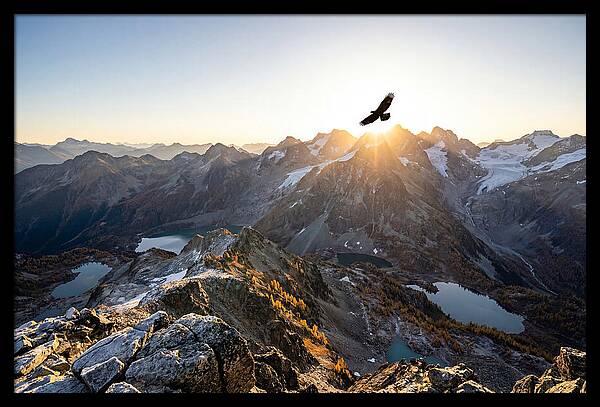 Majestic Eagle Gliding Over Peaks