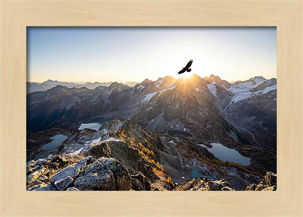 Majestic Eagle Gliding Over Peaks