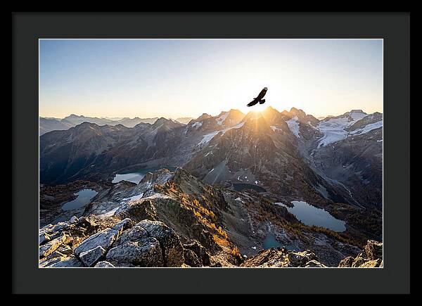 Majestic Eagle Gliding Over Peaks