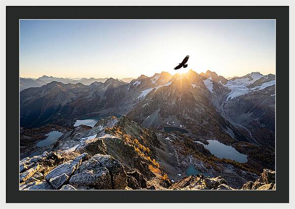 Majestic Eagle Gliding Over Peaks