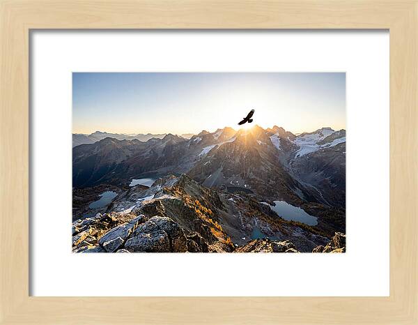 Majestic Eagle Gliding Over Peaks
