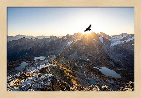 Majestic Eagle Gliding Over Peaks