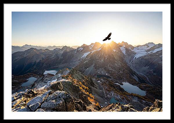 Majestic Eagle Gliding Over Peaks