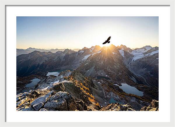 Majestic Eagle Gliding Over Peaks