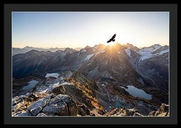 Majestic Eagle Gliding Over Peaks