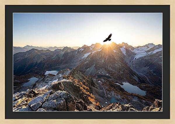 Majestic Eagle Gliding Over Peaks