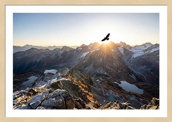 Majestic Eagle Gliding Over Peaks