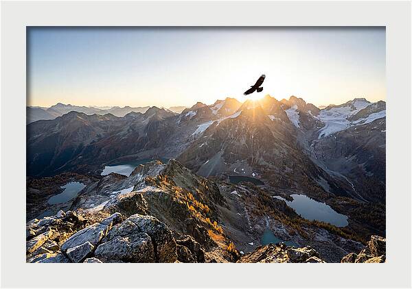 Majestic Eagle Gliding Over Peaks