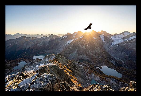 Majestic Eagle Gliding Over Peaks