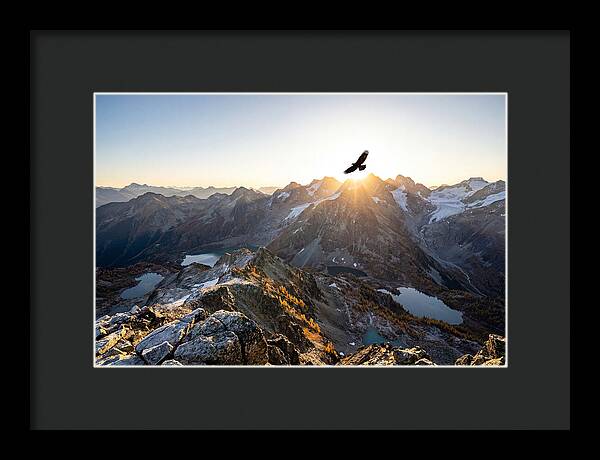 Majestic Eagle Gliding Over Peaks