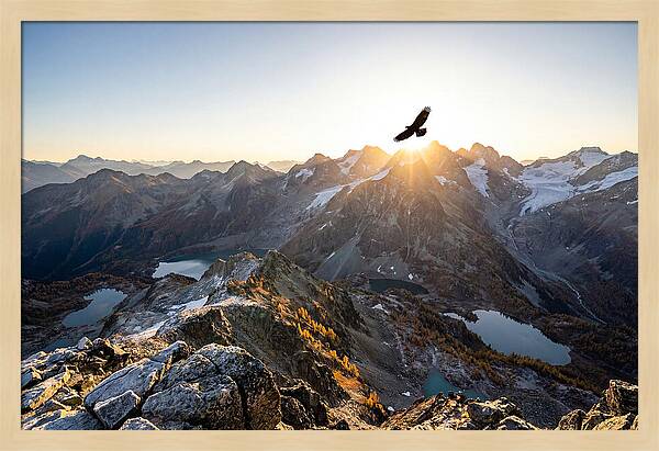 Majestic Eagle Gliding Over Peaks