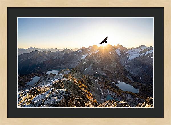 Majestic Eagle Gliding Over Peaks