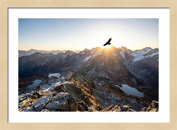 Majestic Eagle Gliding Over Peaks
