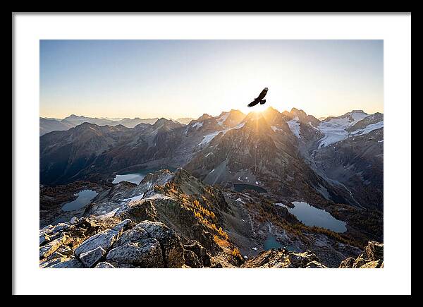 Majestic Eagle Gliding Over Peaks