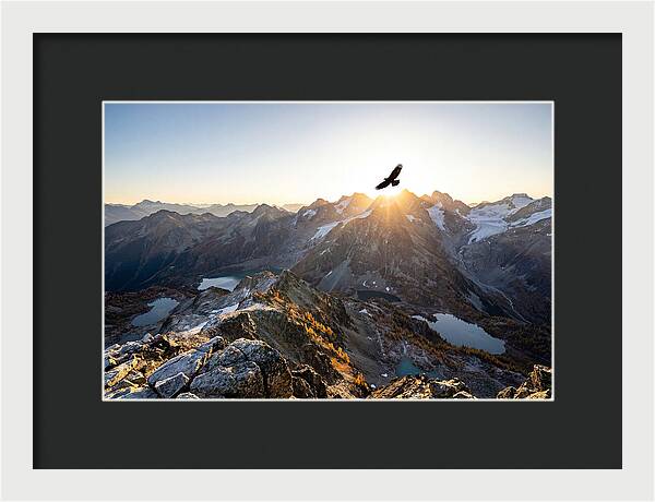 Majestic Eagle Gliding Over Peaks