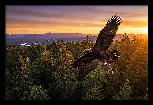 Majestic Eagle Soaring High