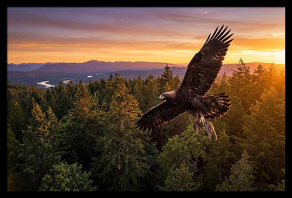 Majestic Eagle Soaring High