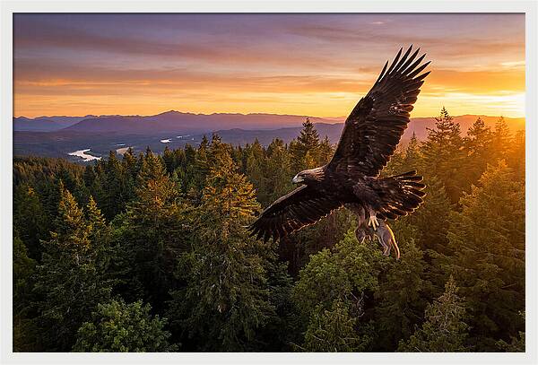 Majestic Eagle Soaring High