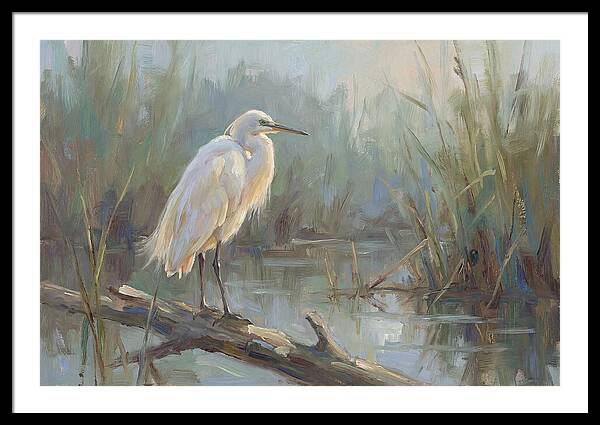 Majestic Egret In Serenity