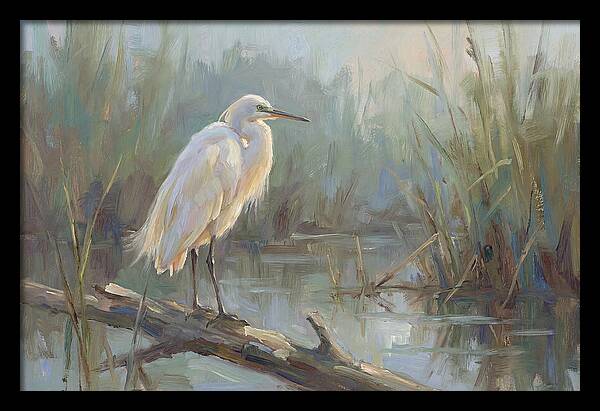 Majestic Egret In Serenity