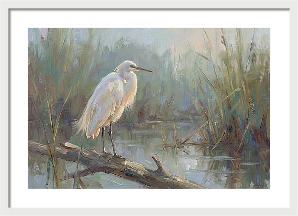 Majestic Egret In Serenity