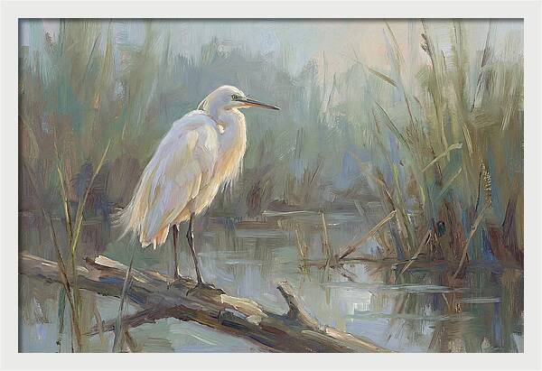 Majestic Egret In Serenity