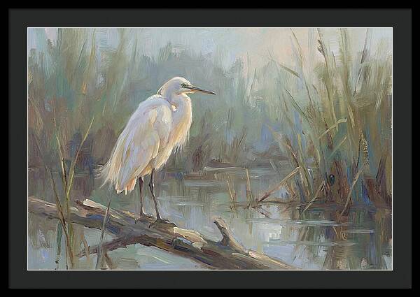 Majestic Egret In Serenity