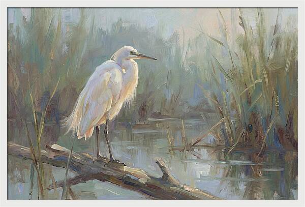 Majestic Egret In Serenity