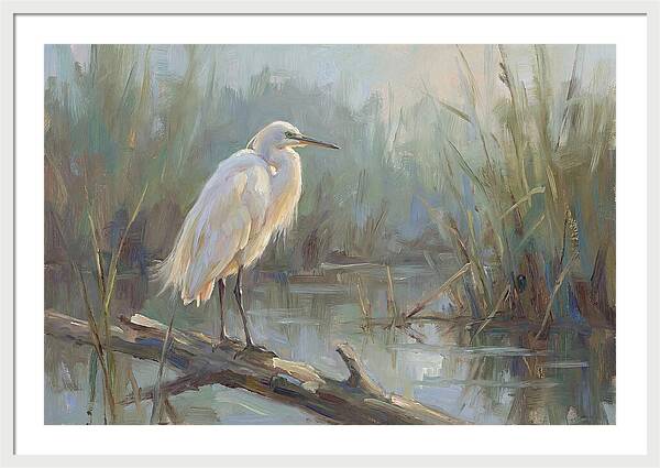 Majestic Egret In Serenity