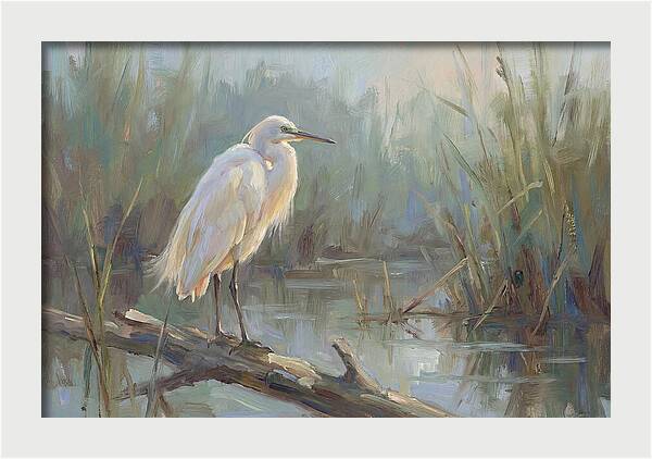 Majestic Egret In Serenity